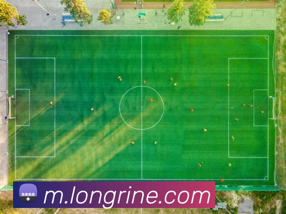 对战数据统计